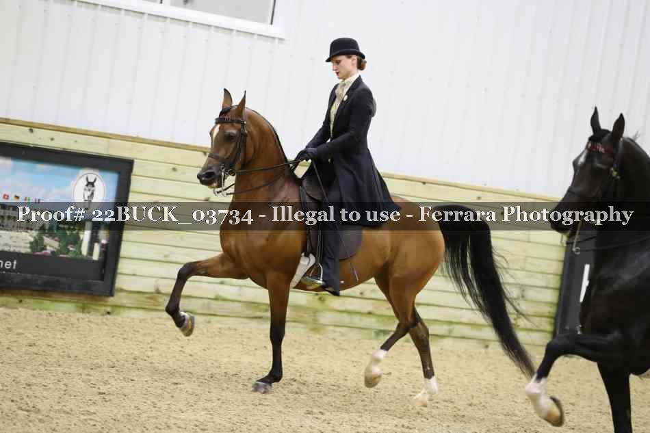 Proof 22BUCK_03734