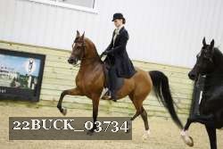 22BUCK_03734 proof