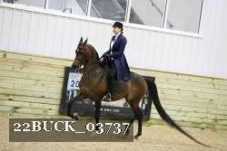 22BUCK_03737 proof