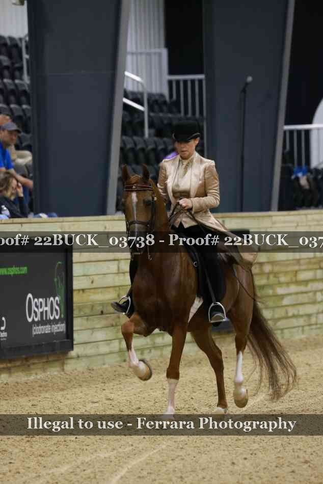 Proof 22BUCK_03738