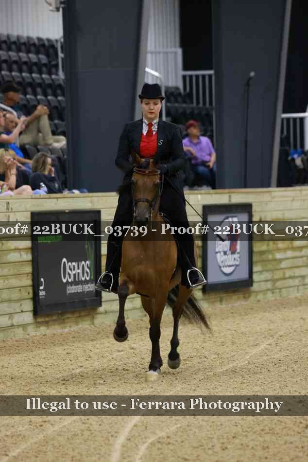 Proof 22BUCK_03739
