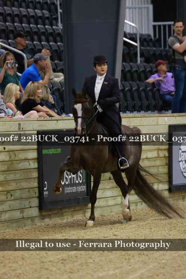 Proof 22BUCK_03741