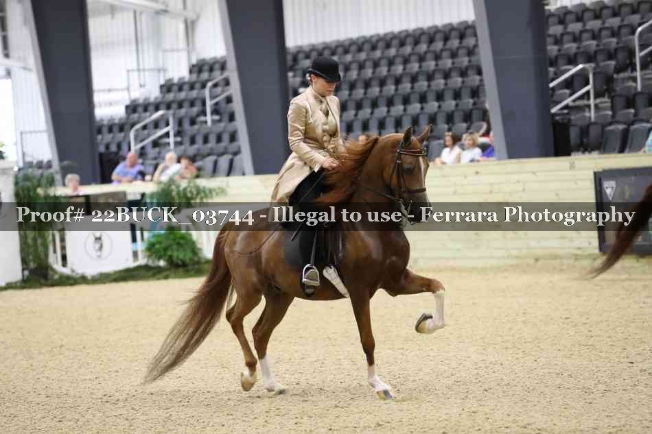Proof 22BUCK_03744