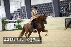 22BUCK_03744 proof