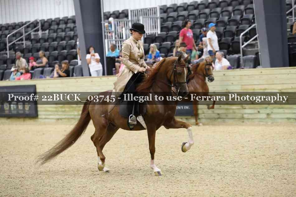 Proof 22BUCK_03745