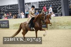 22BUCK_03745 proof