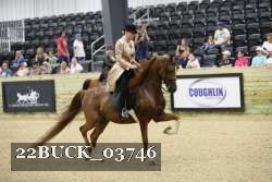 22BUCK_03746 proof
