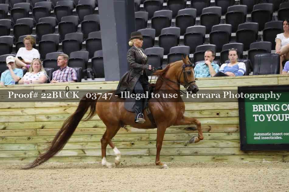 Proof 22BUCK_03747