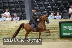 22BUCK_03747 proof