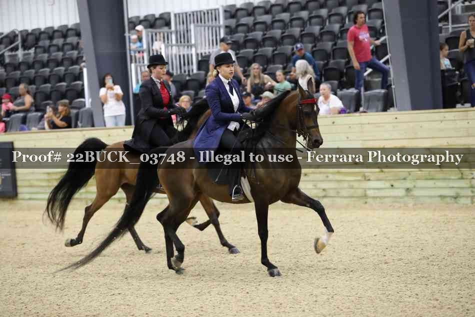 Proof 22BUCK_03748