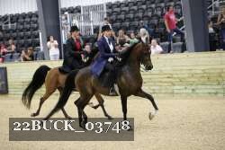 22BUCK_03748 proof