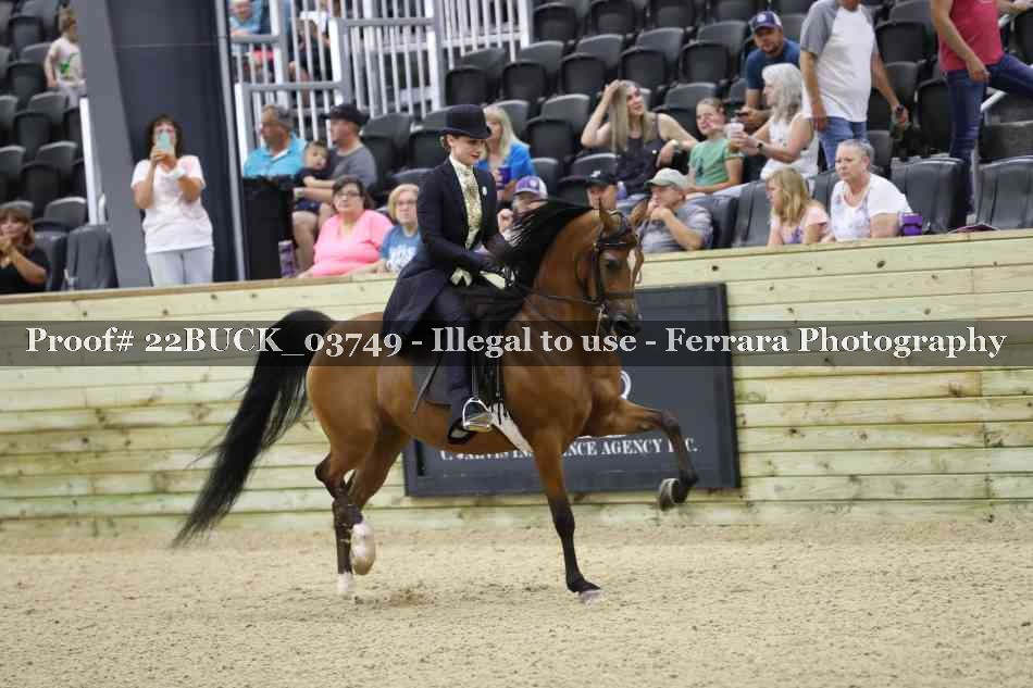 Proof 22BUCK_03749