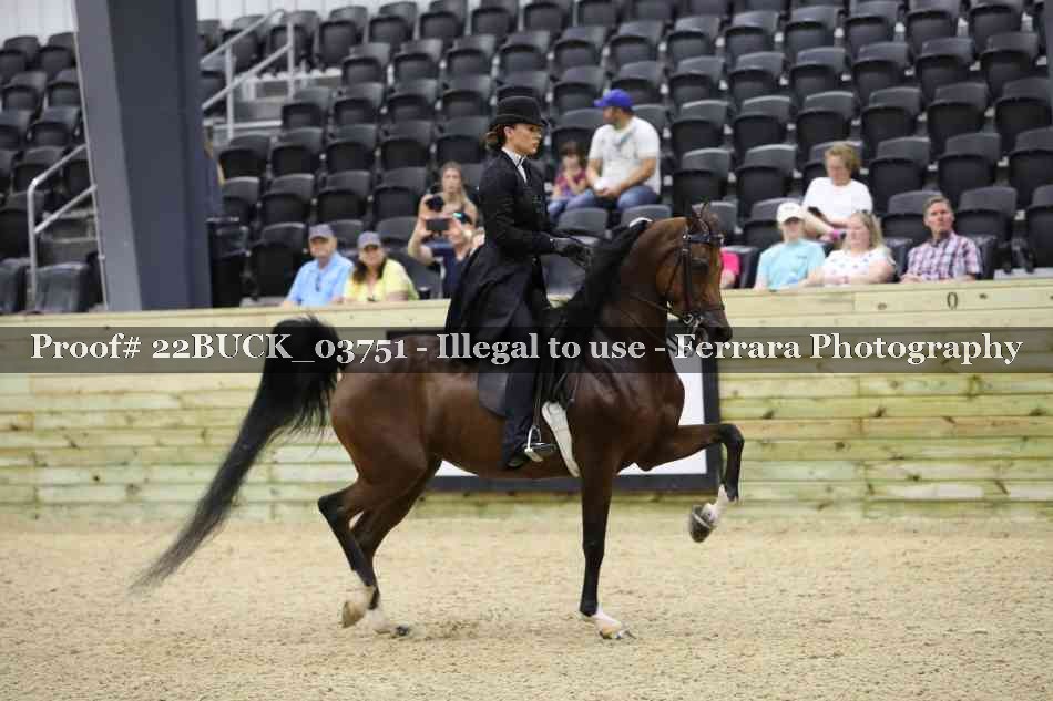 Proof 22BUCK_03751