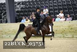 22BUCK_03751 proof