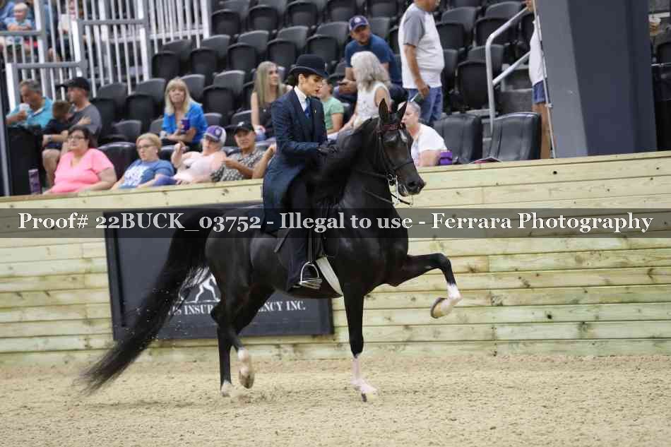 Proof 22BUCK_03752