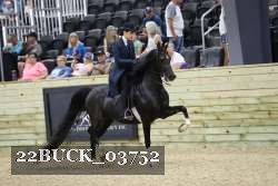 22BUCK_03752 proof