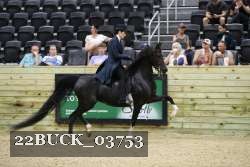 22BUCK_03753 proof