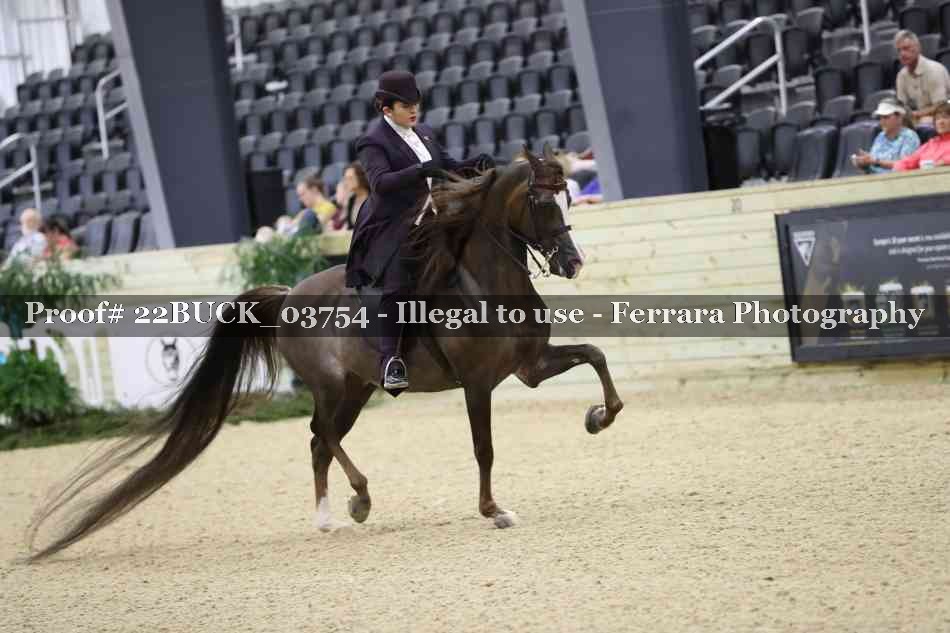 Proof 22BUCK_03754