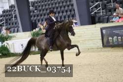 22BUCK_03754 proof
