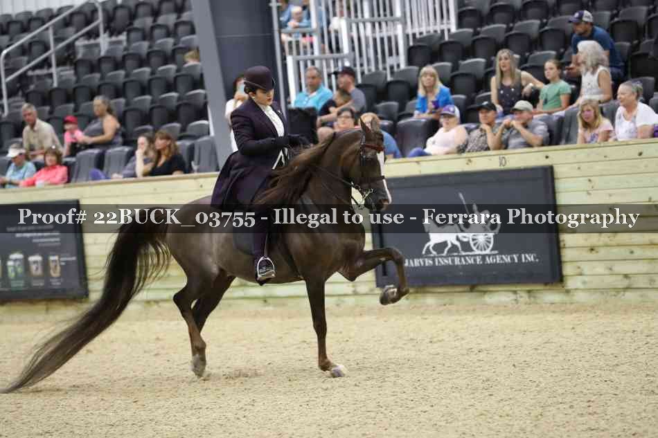 Proof 22BUCK_03755