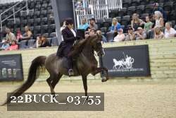 22BUCK_03755 proof