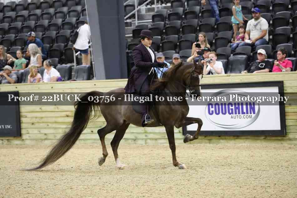 Proof 22BUCK_03756