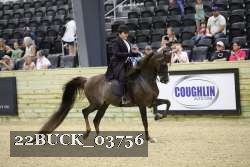 22BUCK_03756 proof