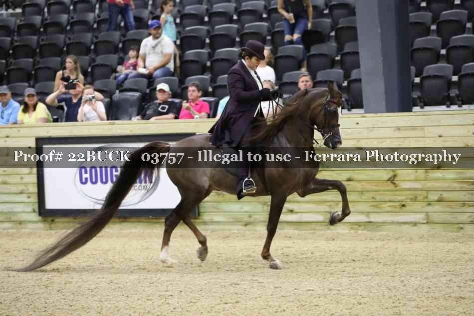 Proof 22BUCK_03757
