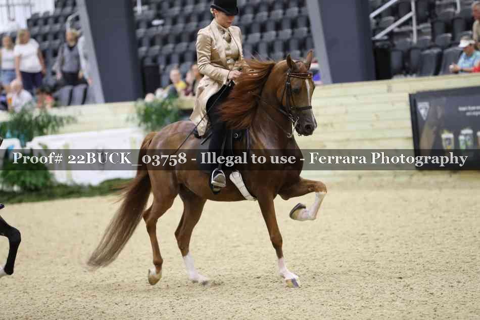 Proof 22BUCK_03758