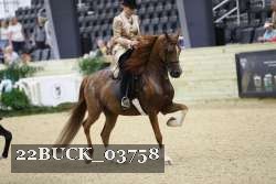 22BUCK_03758 proof