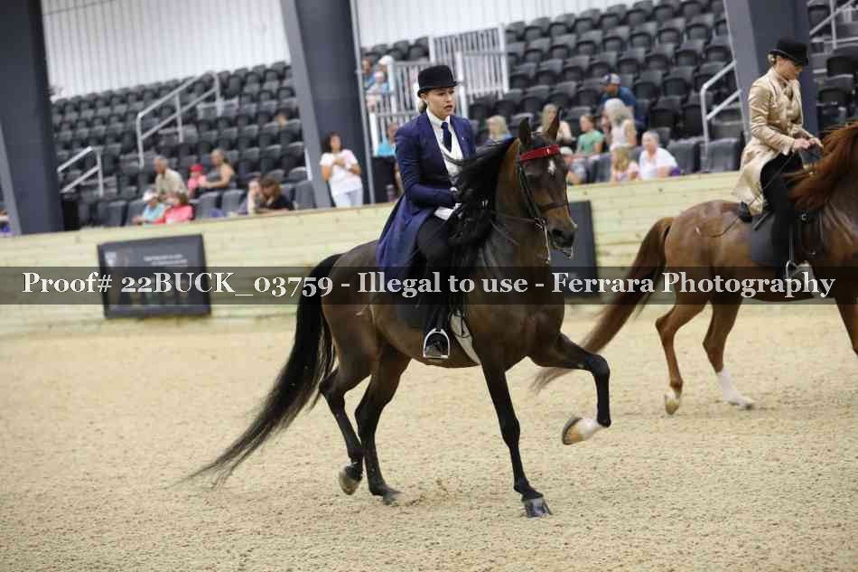 Proof 22BUCK_03759