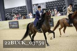 22BUCK_03759 proof