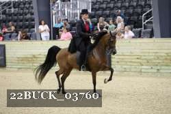 22BUCK_03760 proof