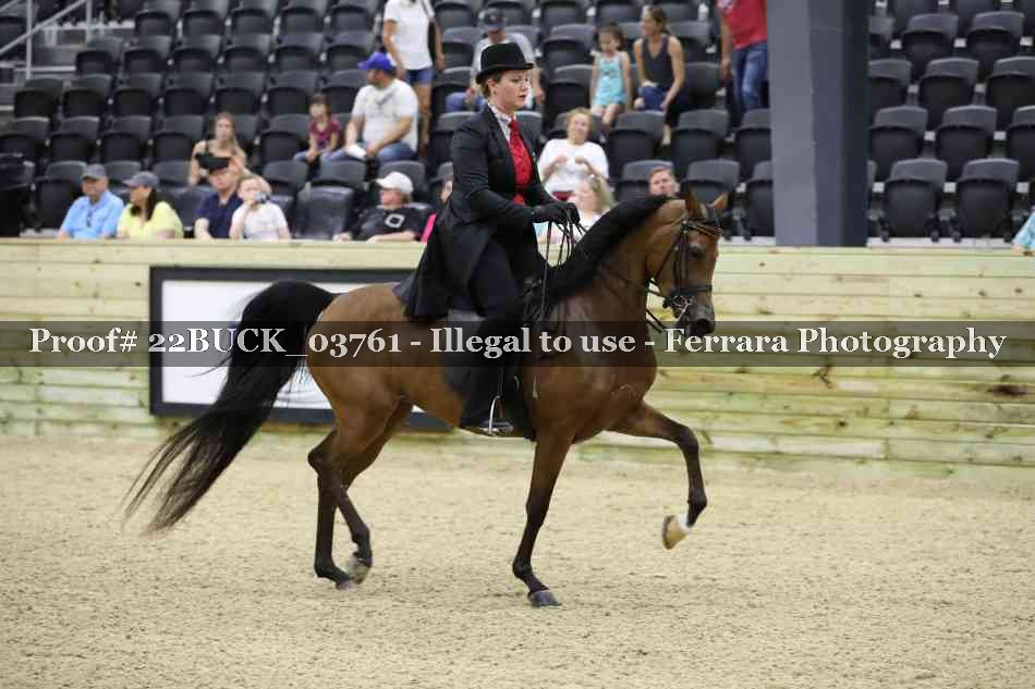 Proof 22BUCK_03761