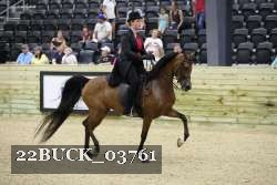 22BUCK_03761 proof