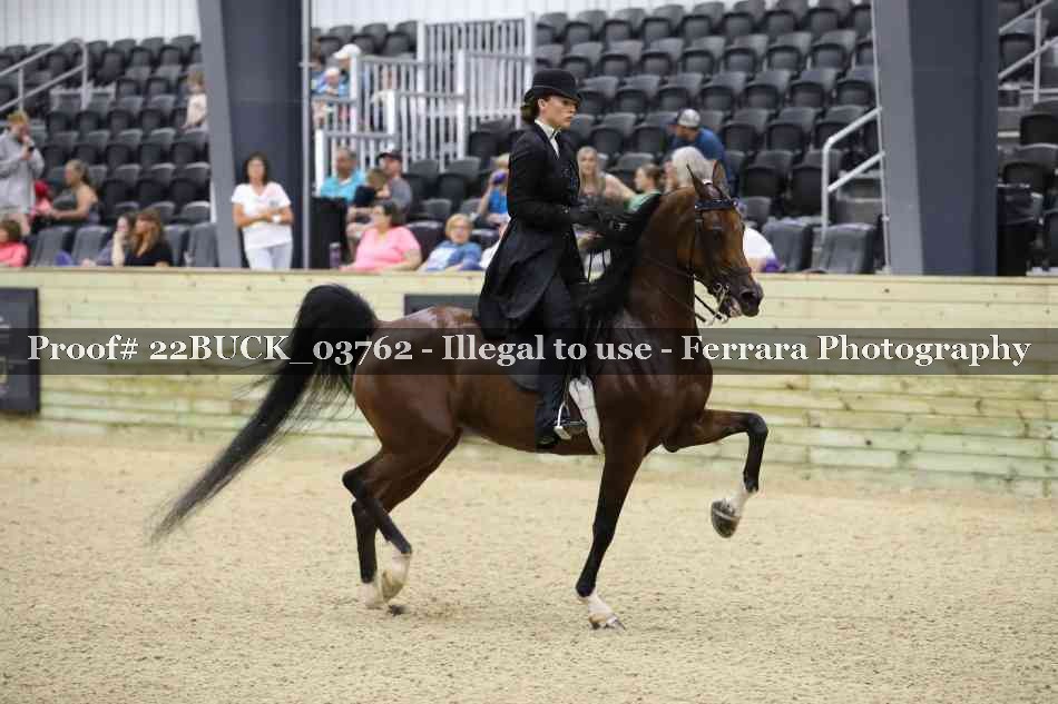 Proof 22BUCK_03762