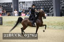 22BUCK_03762 proof