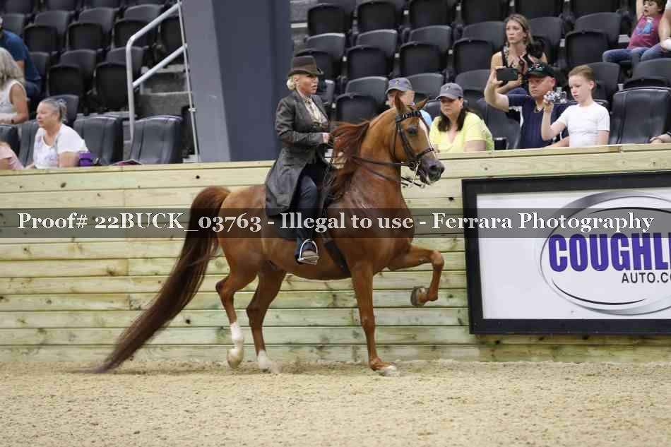 Proof 22BUCK_03763