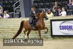 22BUCK_03763 proof