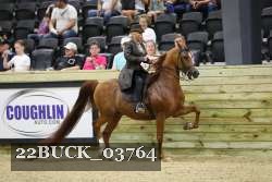 22BUCK_03764 proof