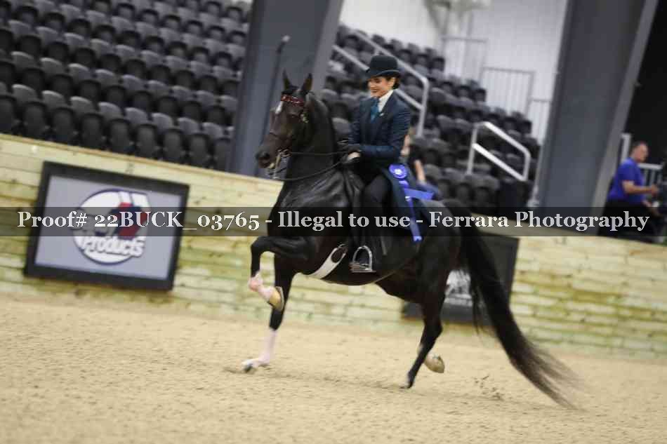 Proof 22BUCK_03765