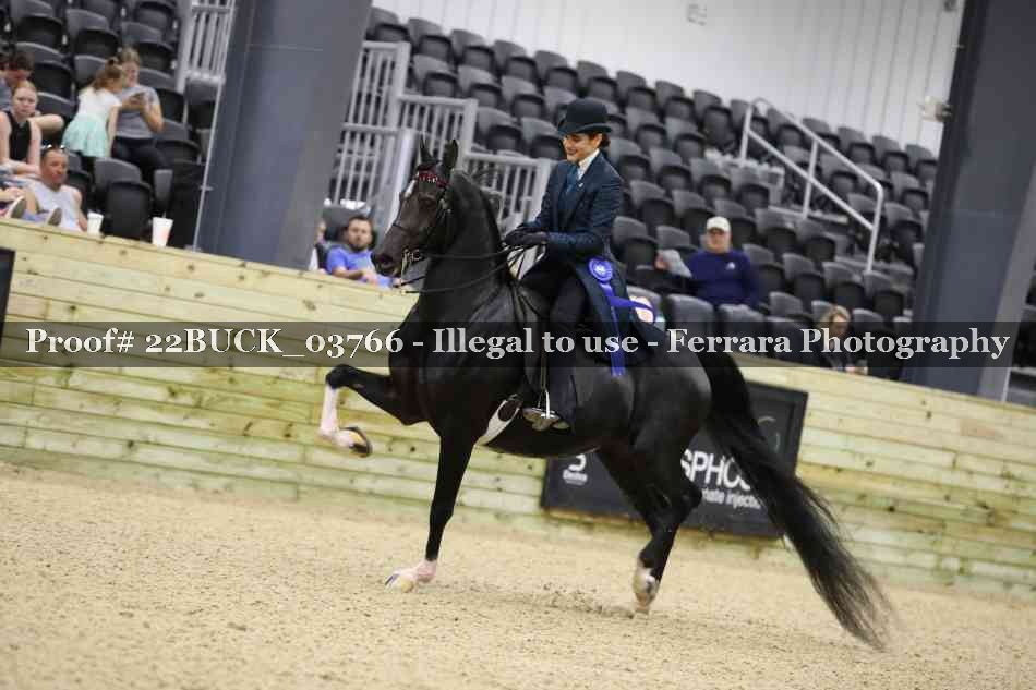 Proof 22BUCK_03766