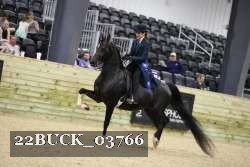 22BUCK_03766 proof