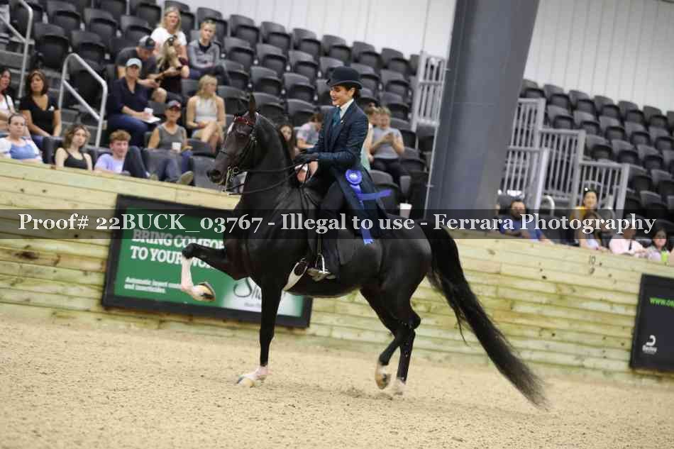 Proof 22BUCK_03767