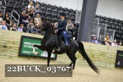 22BUCK_03767 proof