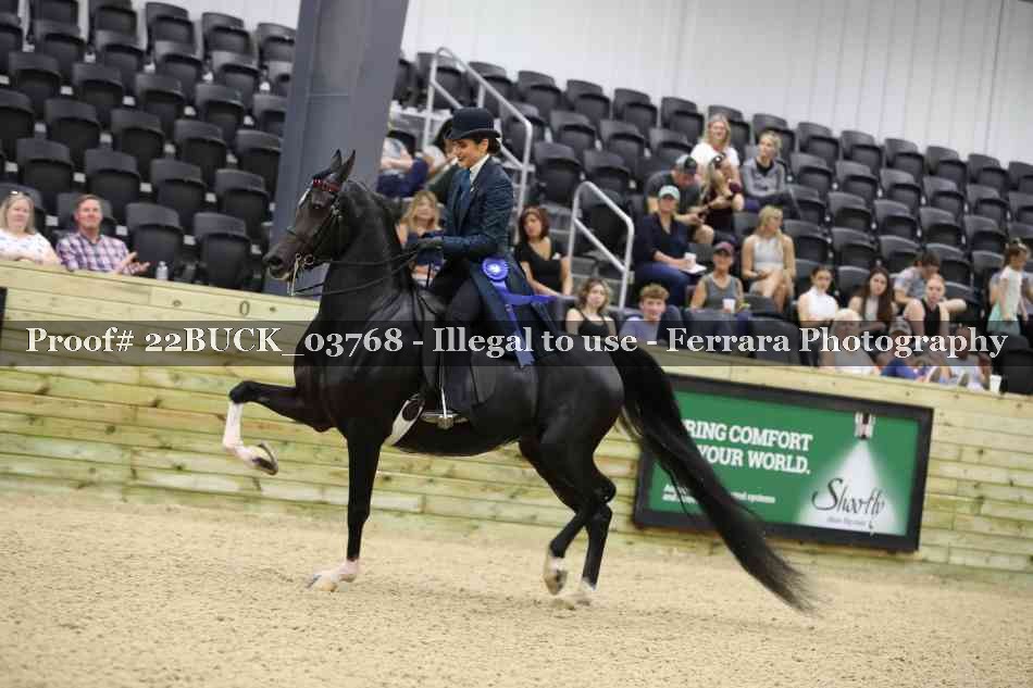 Proof 22BUCK_03768