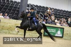 22BUCK_03768 proof