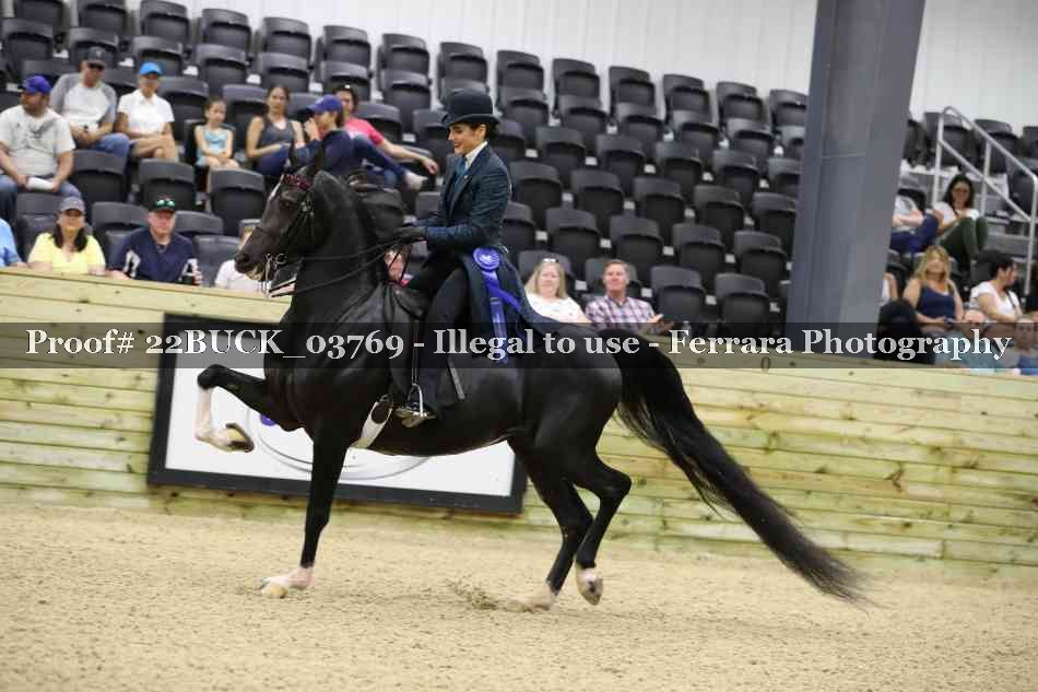 Proof 22BUCK_03769