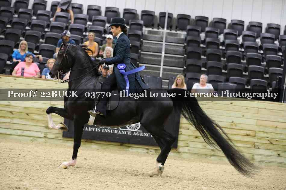 Proof 22BUCK_03770