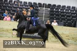 22BUCK_03770 proof